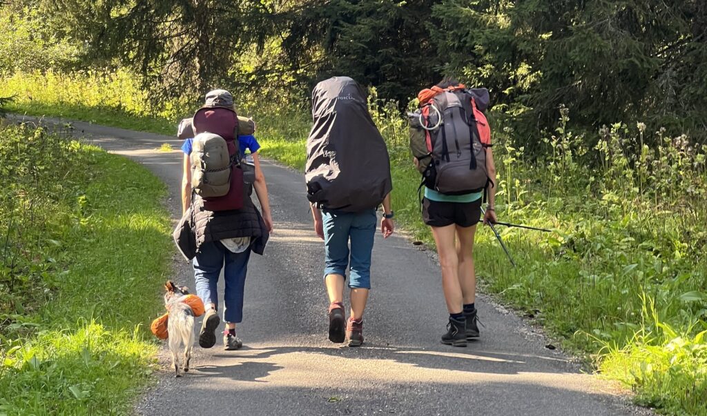 randonneurs dans la forêt du risoux formation cnv