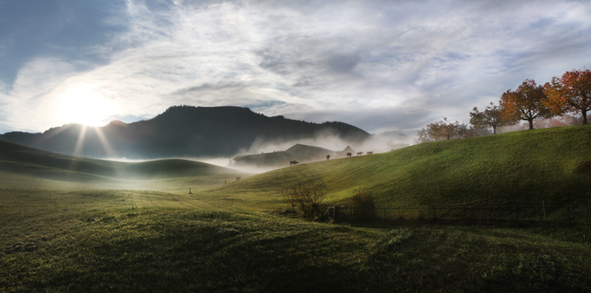 campagne beauté matin conditions generales